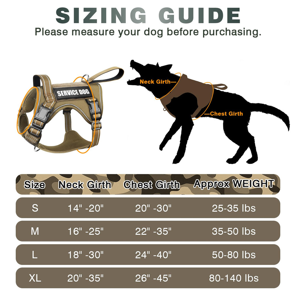 WINSEE harness worn on dog during outdoor training and hiking.