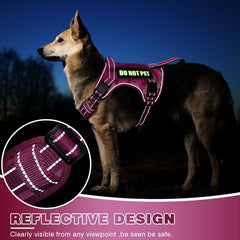 Winsee reflective nylon enhances visibility in low light