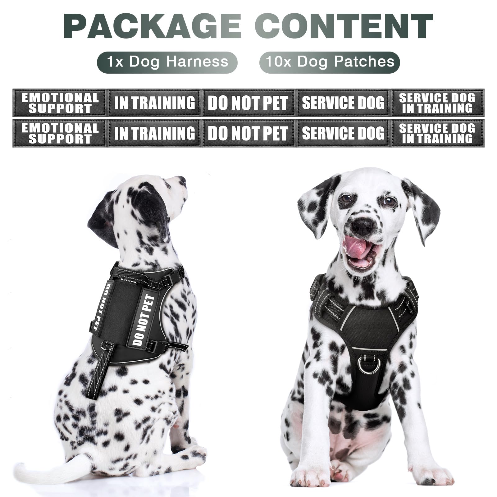 WINSEE tactical harness back clip for relaxed walking with secure leash