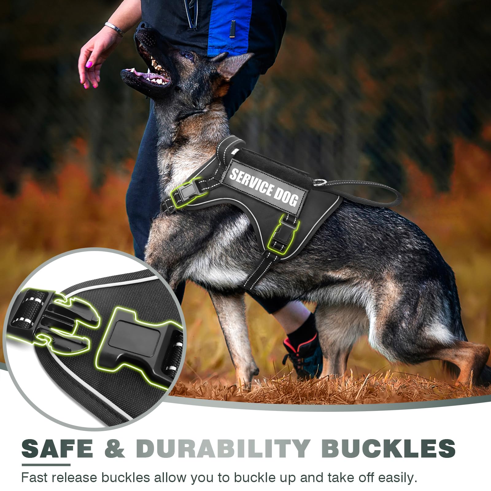 WINSEE sturdy front handle enables quick restraint when needed