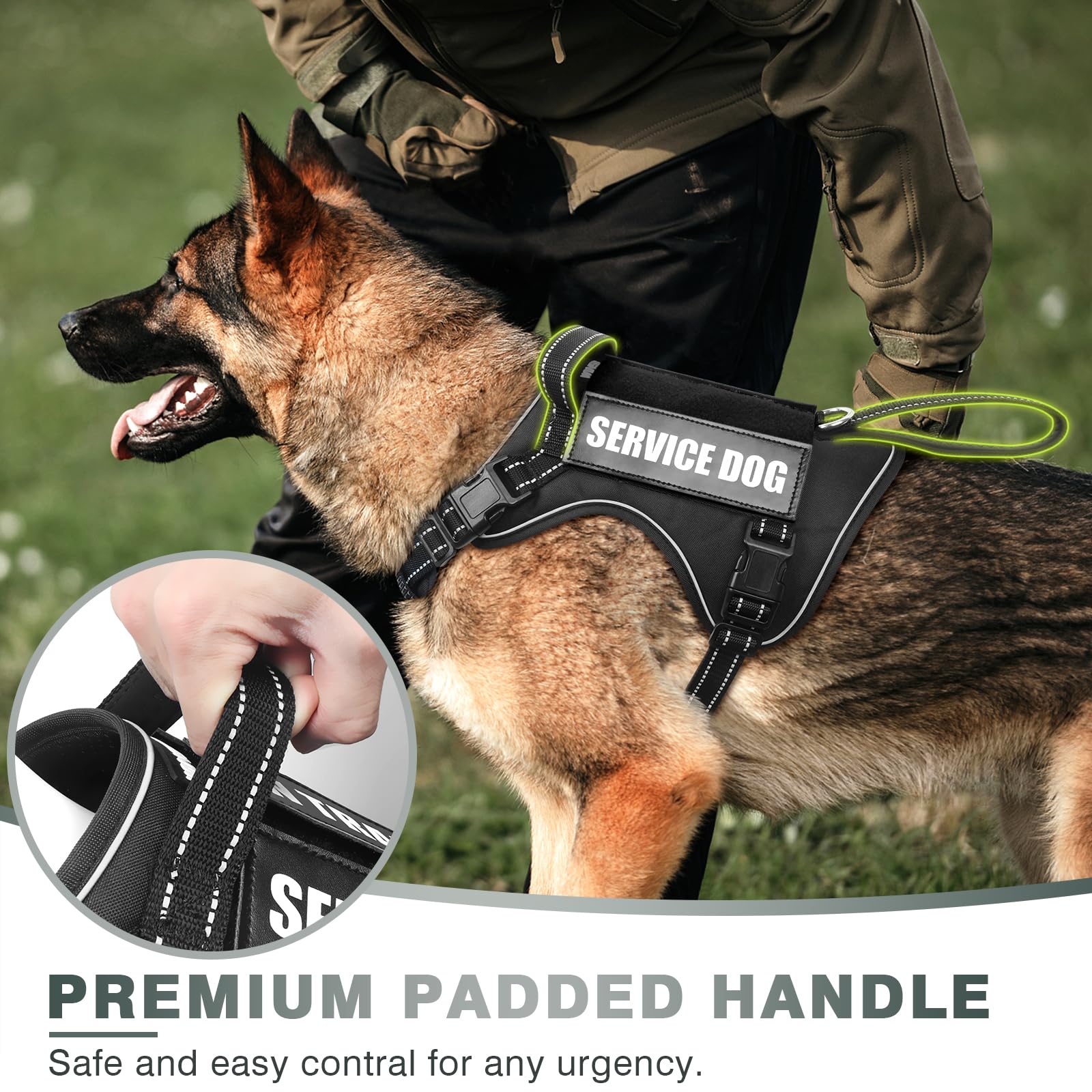 WINSEE MOLLE harness shows patches for training and service labeling