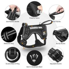 WINSEE reflective nylon increases visibility on dawn and dusk strolls