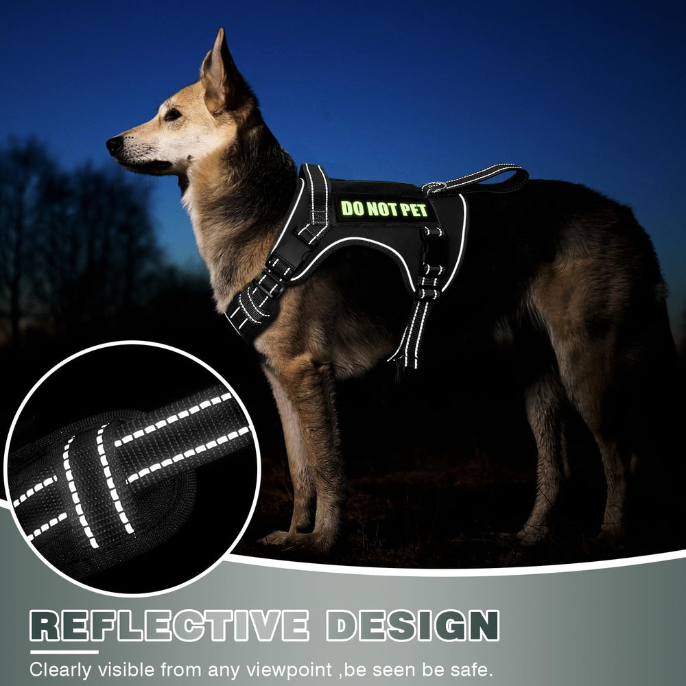WINSEE four sizes with a guide for proper fitting