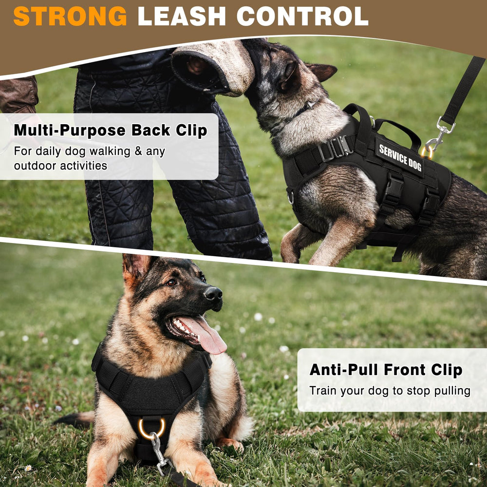 WINSEE three-d-rings layout offers versatile leash options for walks.