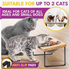 WinTruffles anti-slip bowl mats help prevent spills during lively mealtimes.