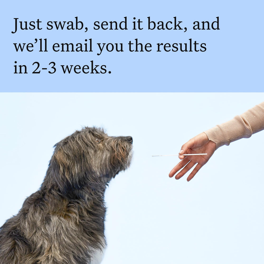 Wisdom Panel behavioral insights help tailor training and enrichment.