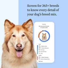 Wisdom Panel DNA sample container prepared for quick, painless collection.