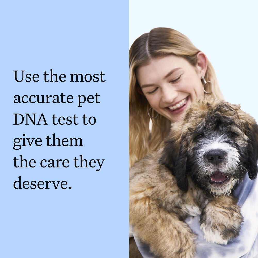 Wisdom Panel results report shows breed breakdown and ancestry insights.
