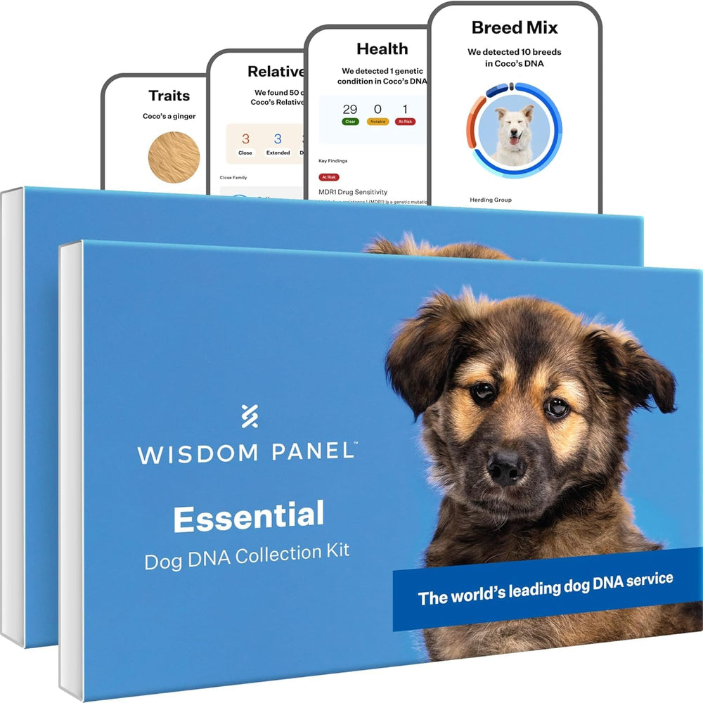 Wisdom Panel Essential breed report image shows 365+ breeds for accurate insights.