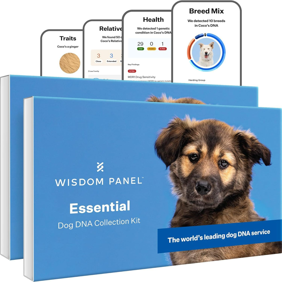 Wisdom Panel Essential breed report image shows 365+ breeds for accurate insights.