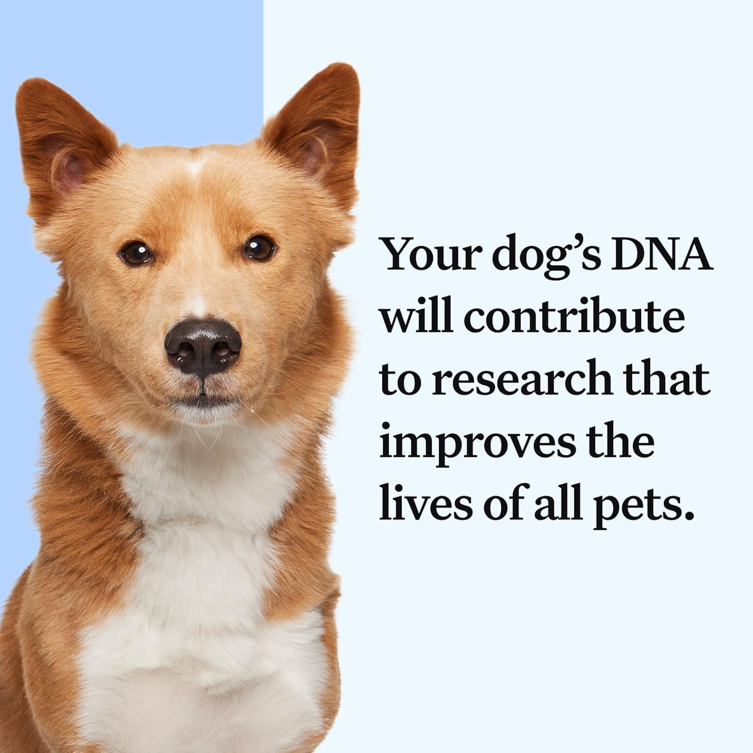 Wisdom Panel Essential global reach image highlights 50+ countries served.