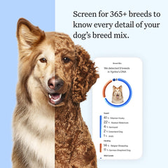 Wisdom Panel Essential health insights image highlights 30 tests for proactive care discussions.