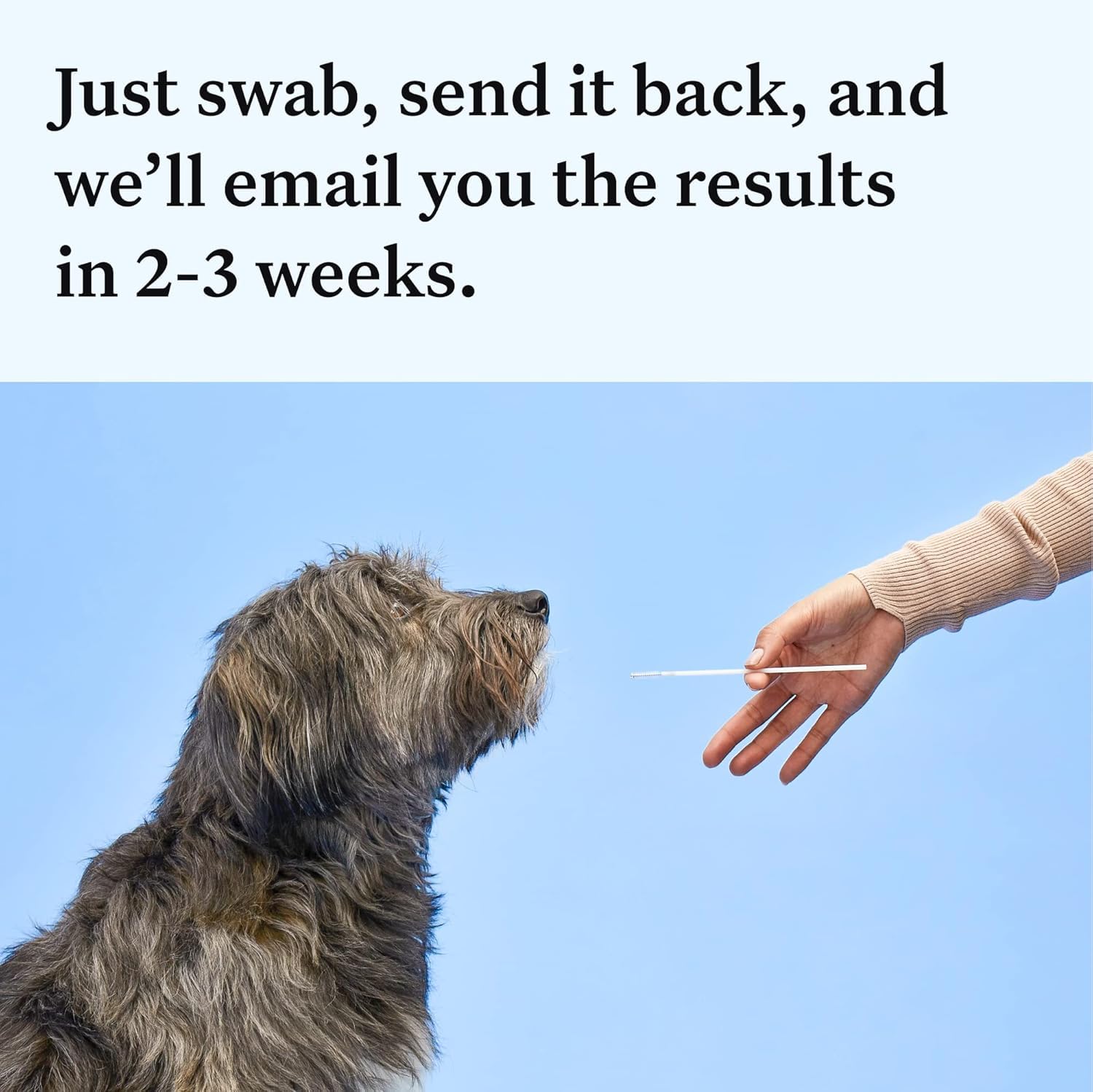 Wisdom Panel Essential results portal image indicates fast, reliable results online.