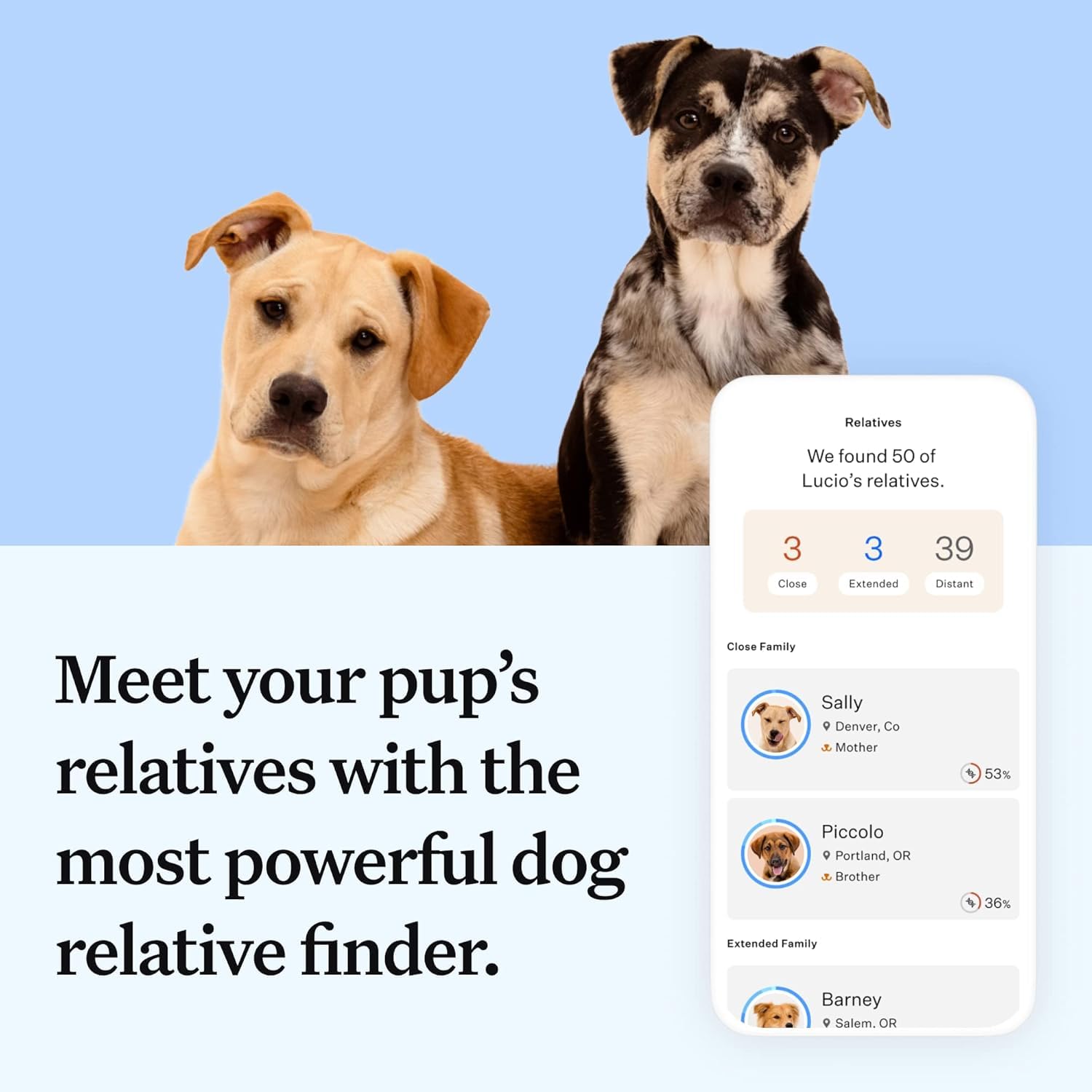 Wisdom Panel Essential swab image shows quick, painless sample collection at home.