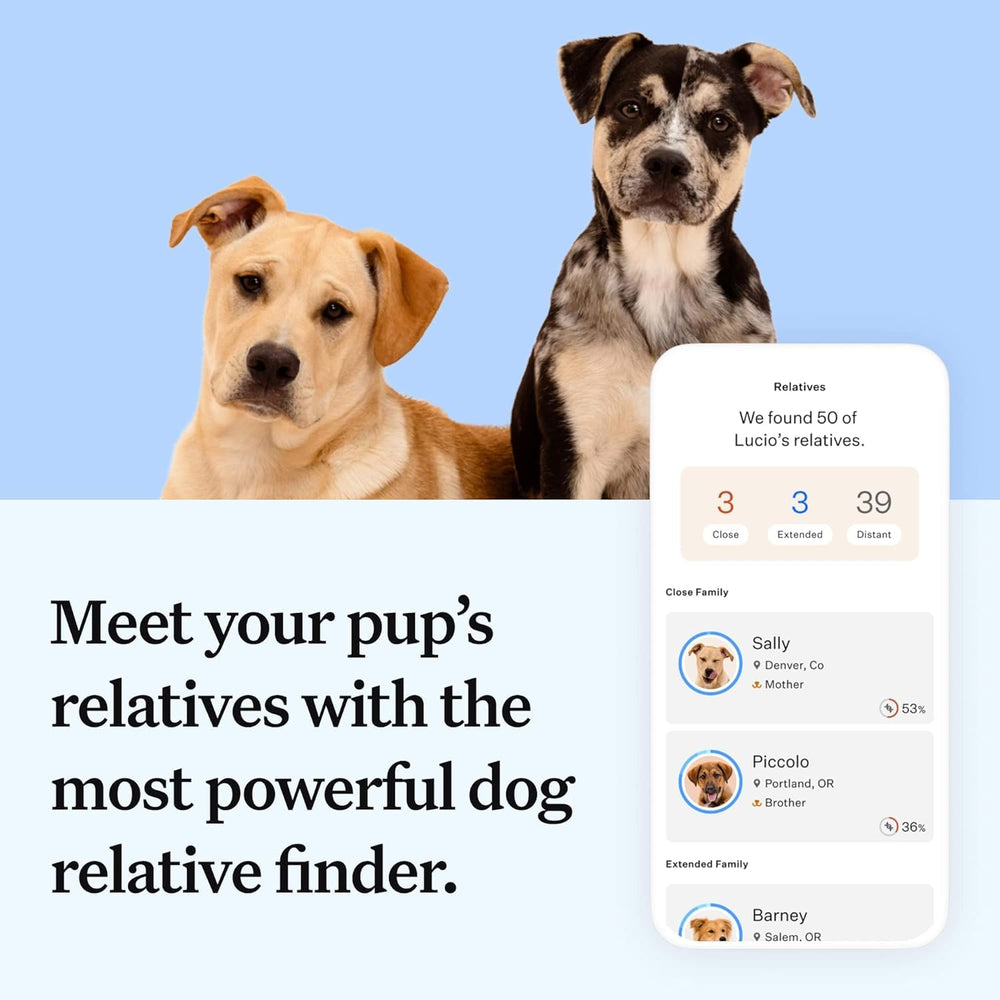 Wisdom Panel Essential swab image shows quick, painless sample collection at home.