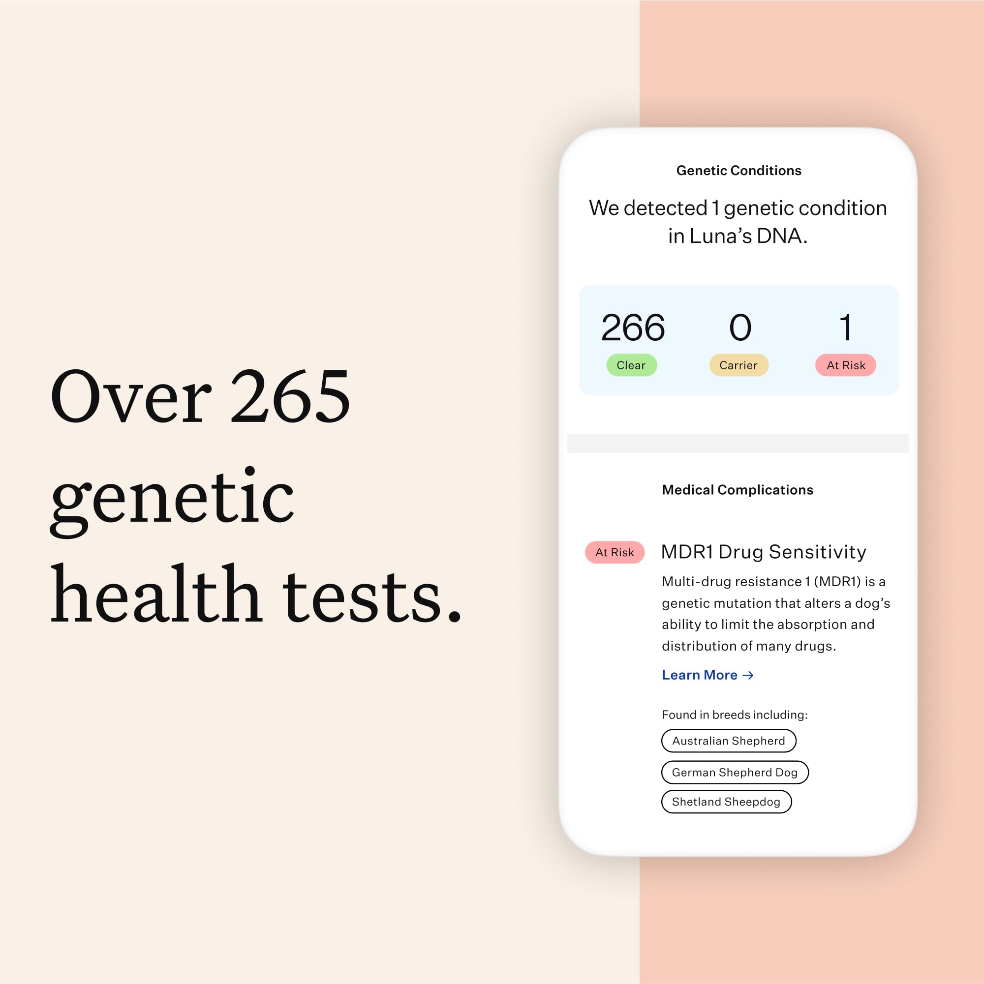 Wisdom Panel Premium breed report reveals 365+ breeds for ancestry understanding