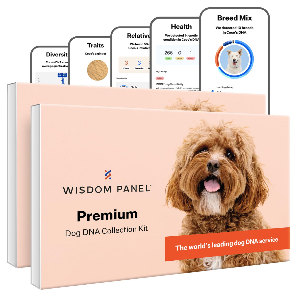 Wisdom Panel Premium front packaging shows trusted breed and health insights