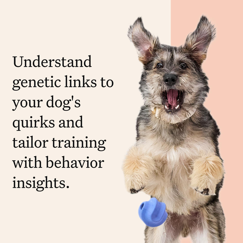 Wisdom Panel Premium global coverage highlights reach across 50+ countries