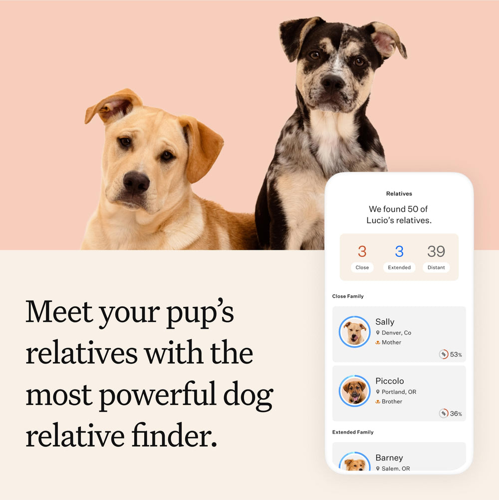 Wisdom Panel Premium relatives network connects you to relatives and photos