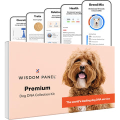Wisdom Panel Premium packaging shows at-home sampling for dogs.