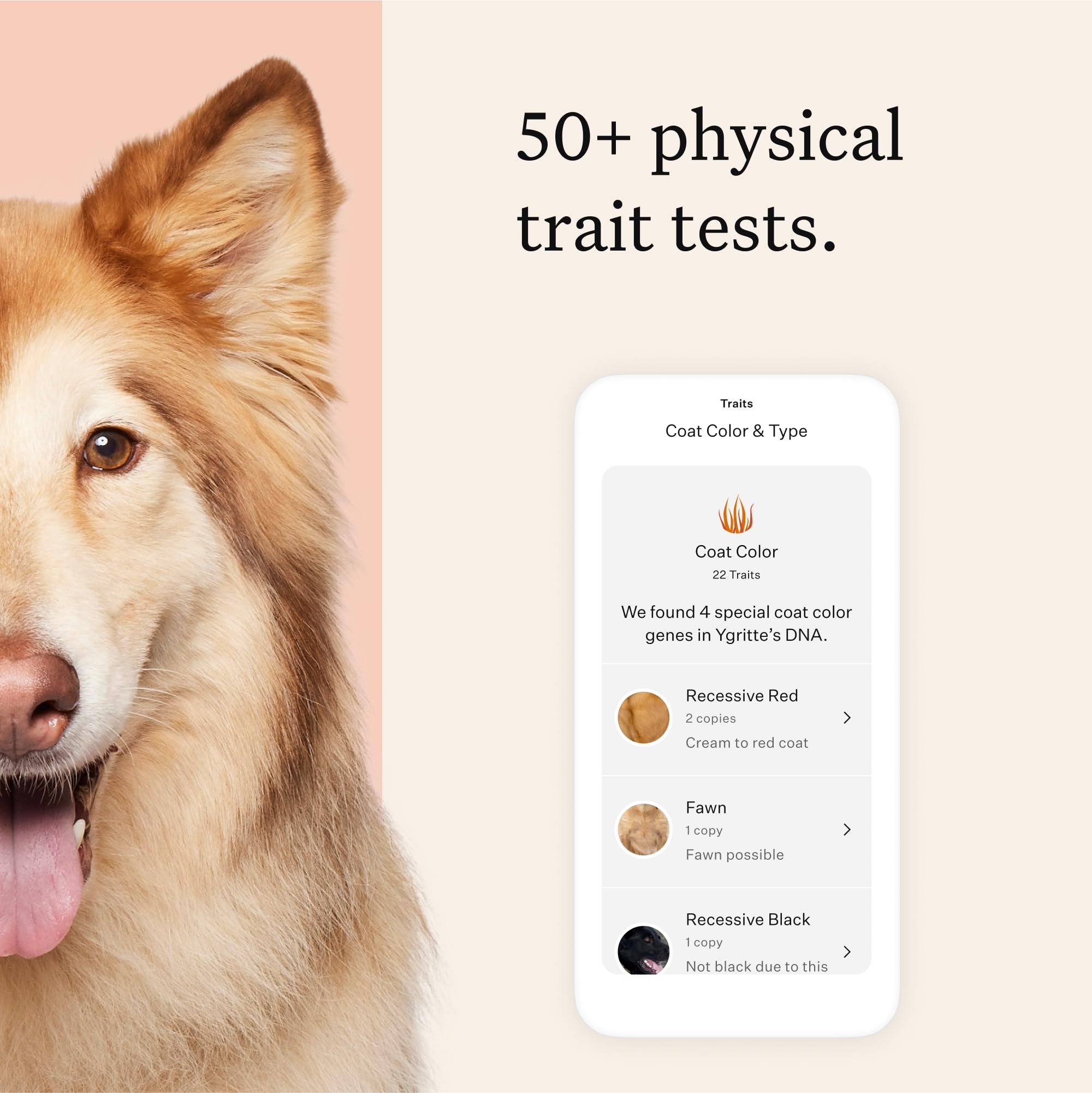 Wisdom Panel relatives section displays relative matches and messaging options.