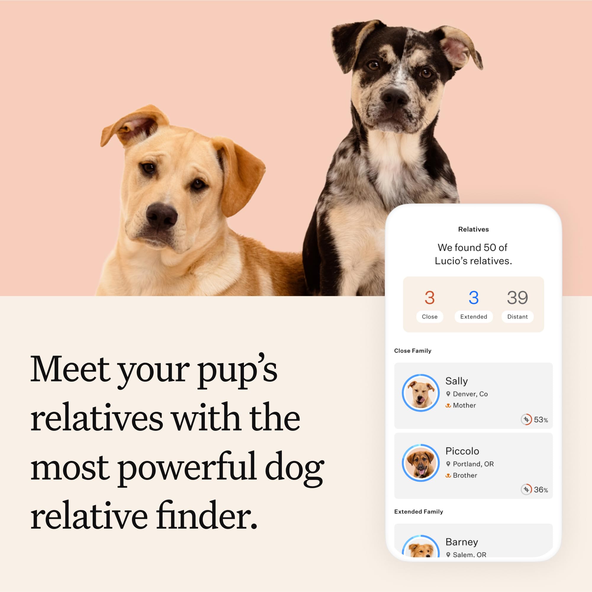 Wisdom Panel results dashboard previews breed accuracy and ancestry insights.