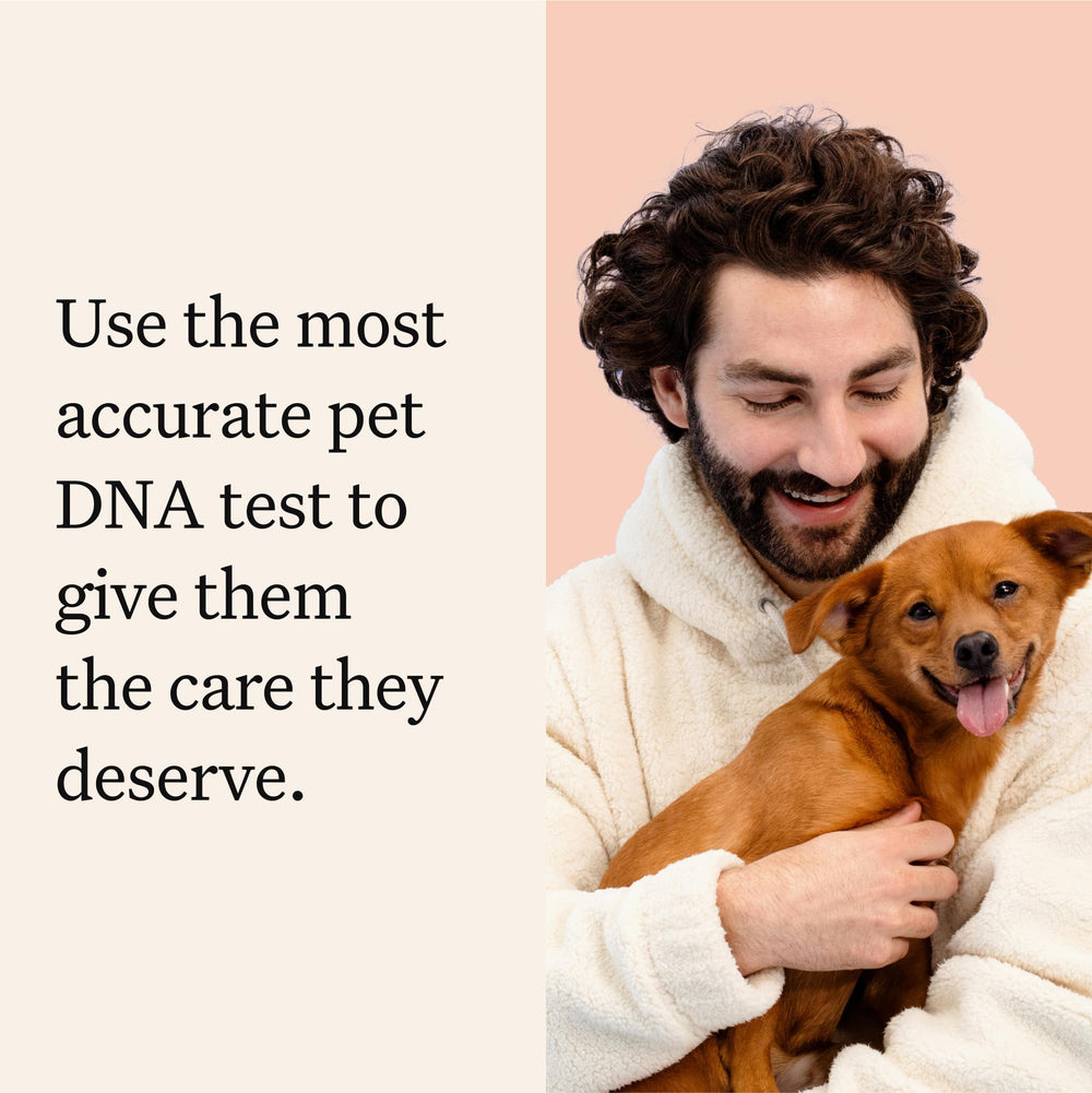 Wisdom Panel swab in hand demonstrates simple, painless sample collection for rapid results.