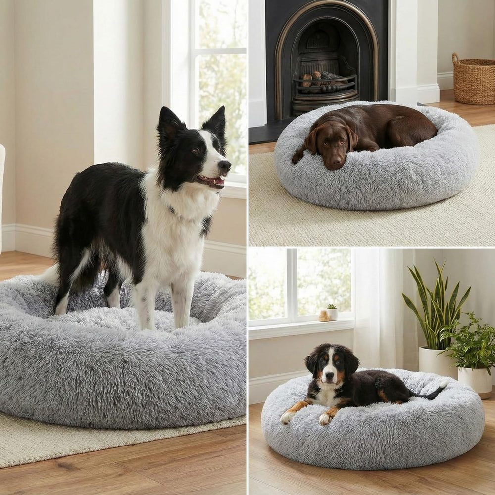 WisQoo calming bed with overstuffed-fill-pp-foam cushions restful comfort.