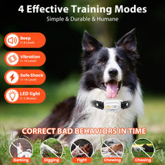 Wissilor training collar LED night light improves visibility during evening sessions.