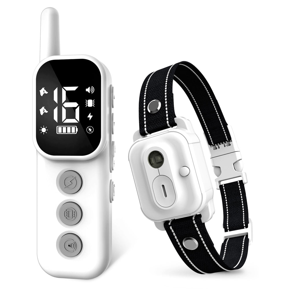 Wissilor dog training collar remote for on-the-go obedience practice.