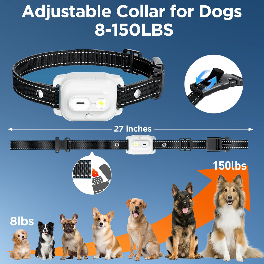 Wissilor IPX7 waterproof collar ready for rain and splashes during training.