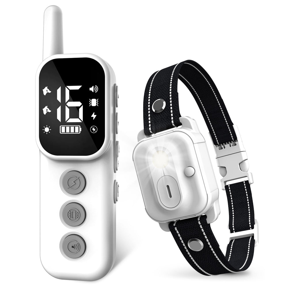 Wissilor quick 2-hour charge keeps collar ready.