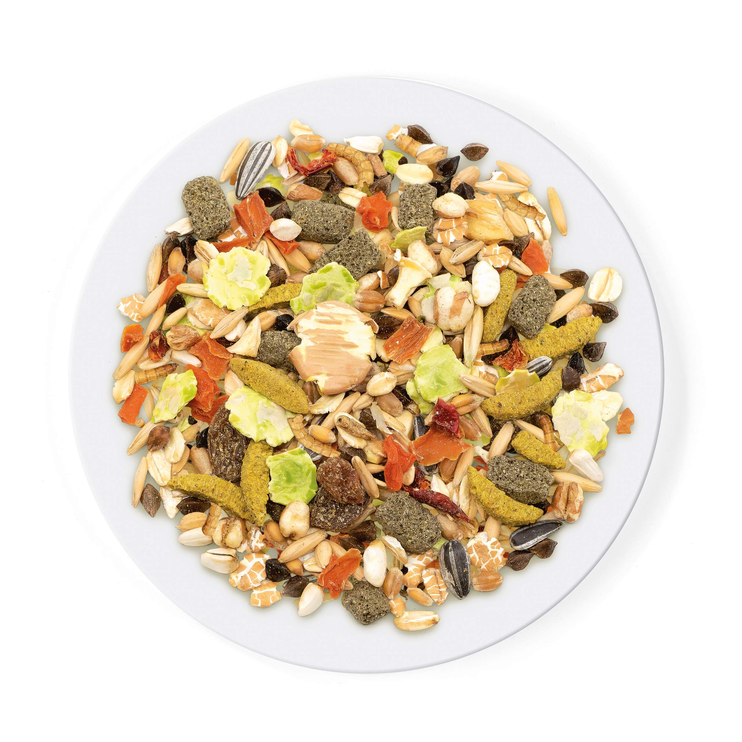 Witte Molen seed mix with sunflower seeds offers texture and energy.