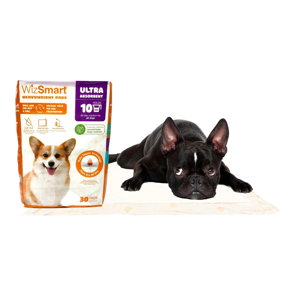 WizSmart Heavyweight pads are suitable for dogs, cats and small pets across surfaces