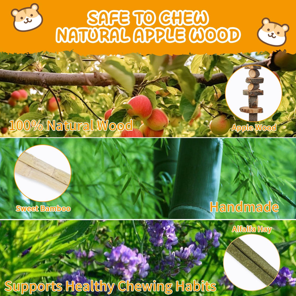 WKHTL Pet water bottle with stand helps prevent leaks.