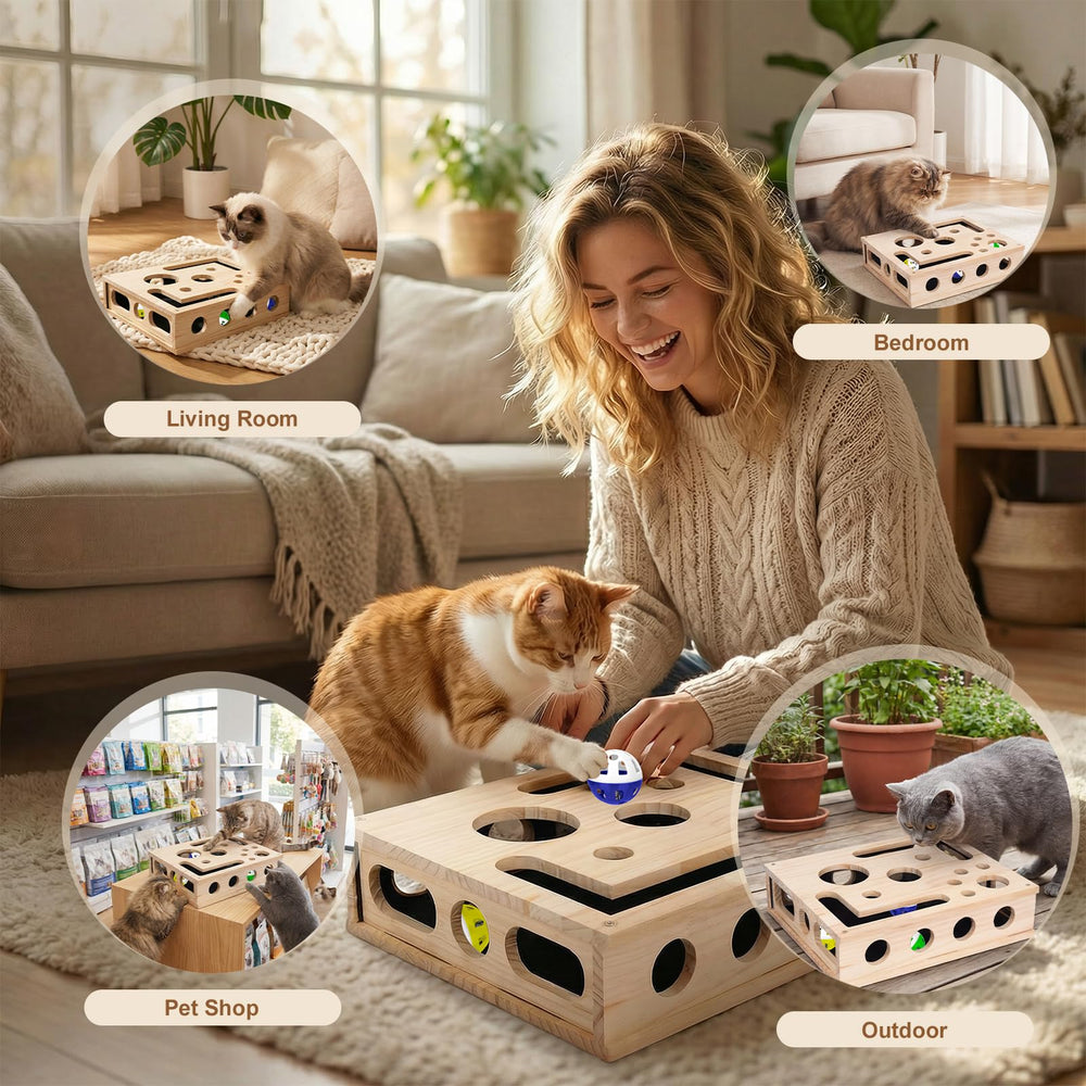 Wmbzxh home-use scene with enrichment box in a living space