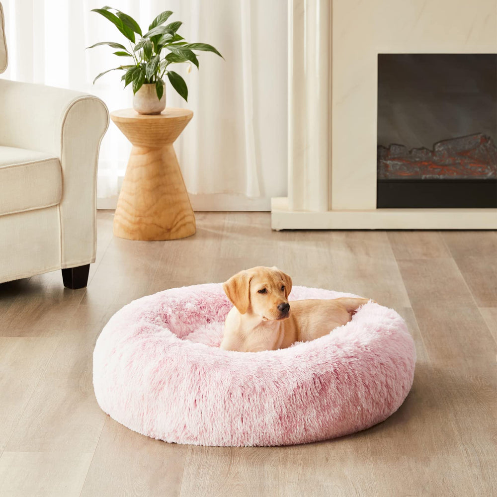 WNPETHOME 30x30x10 round bed suitable for medium dogs and cats