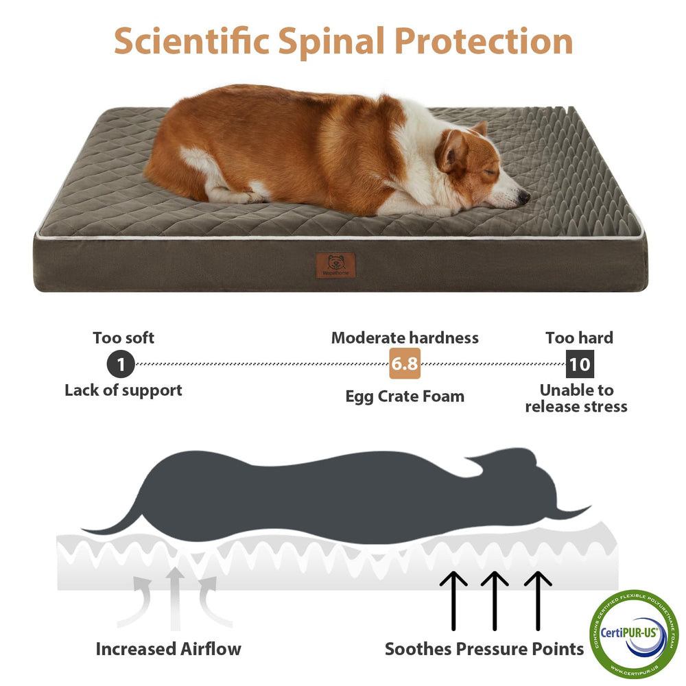 WNPETHOME anti-slip bottom prevents shifting during play.