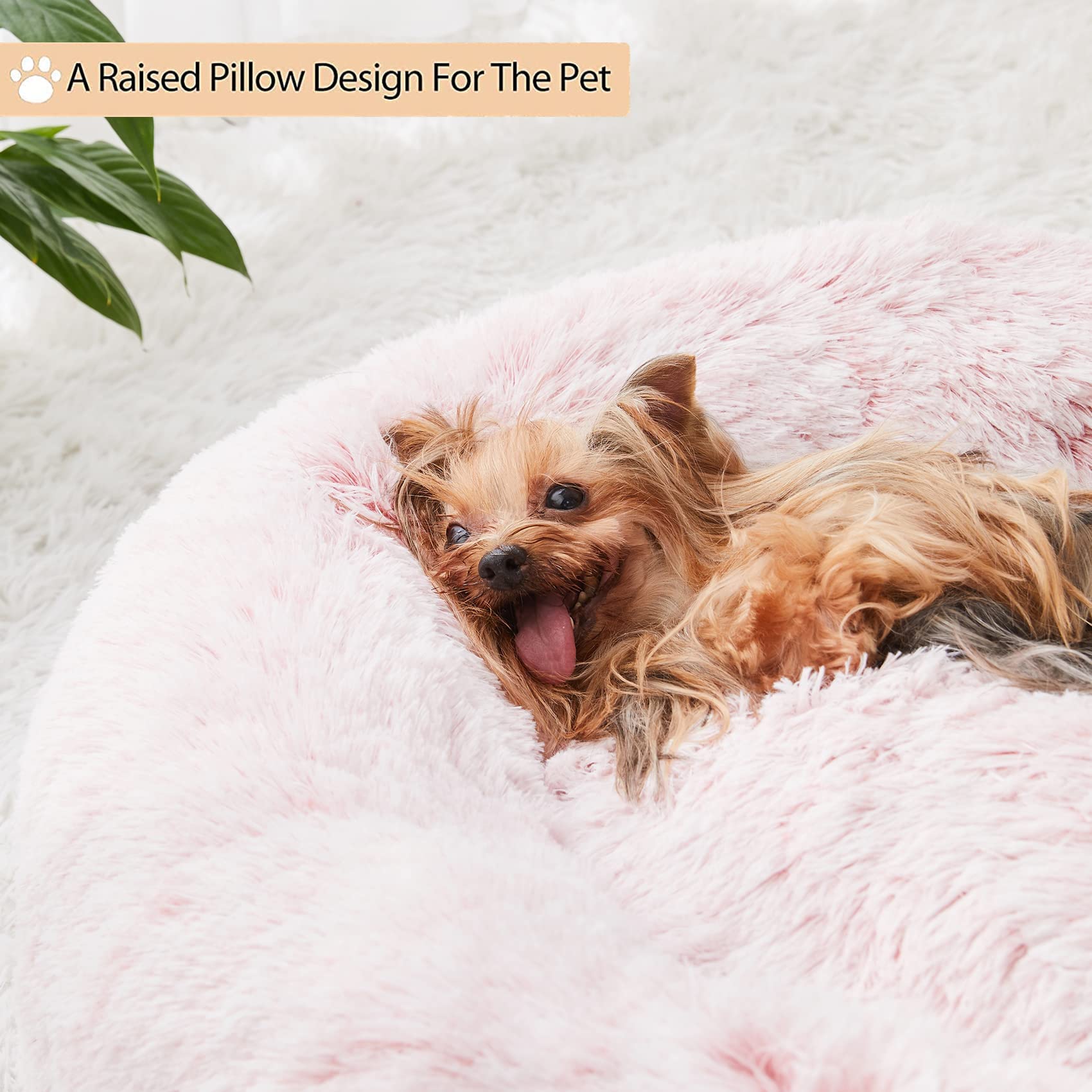 WNPETHOME Calming Donut Bed raised edges provide soft support for small dogs.