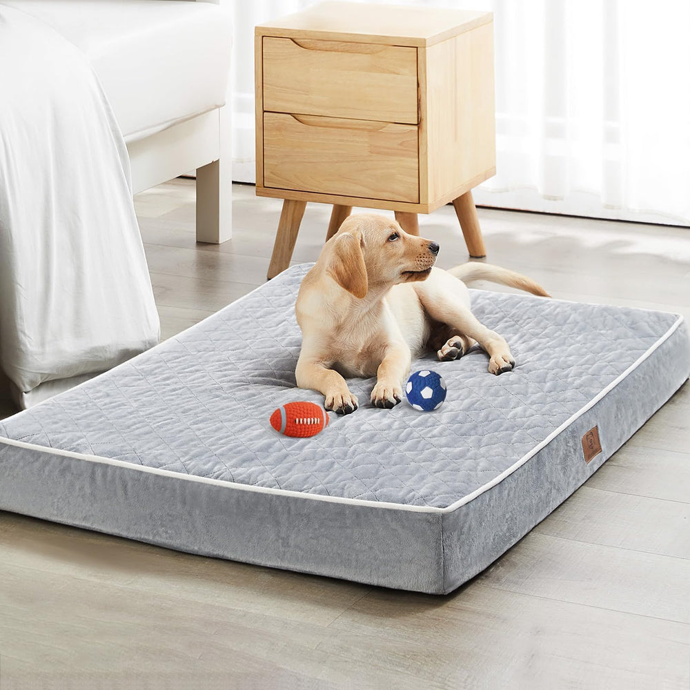 WNPETHOME medium bed measures 30x20 inches for small to medium dogs