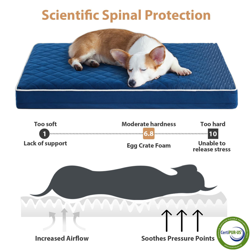 WNPETHOME egg crate foam design relieves pressure on joints.
