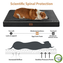 WNPETHOME egg crate foam provides targeted joint support.