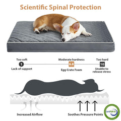 WNPETHOME giant dog bed 55x42 for large and XL breeds.