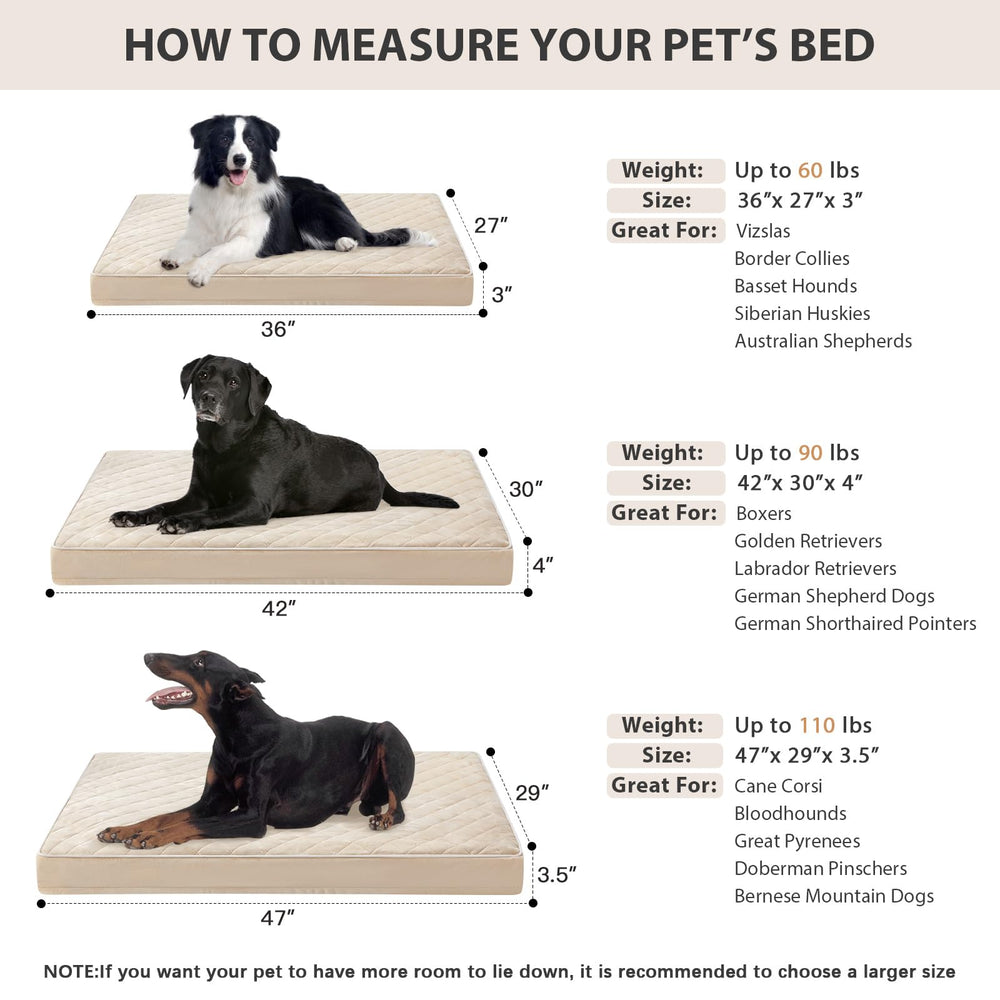 WNPETHOME non-slip bottom on oxford cloth keeps bed in place during play.