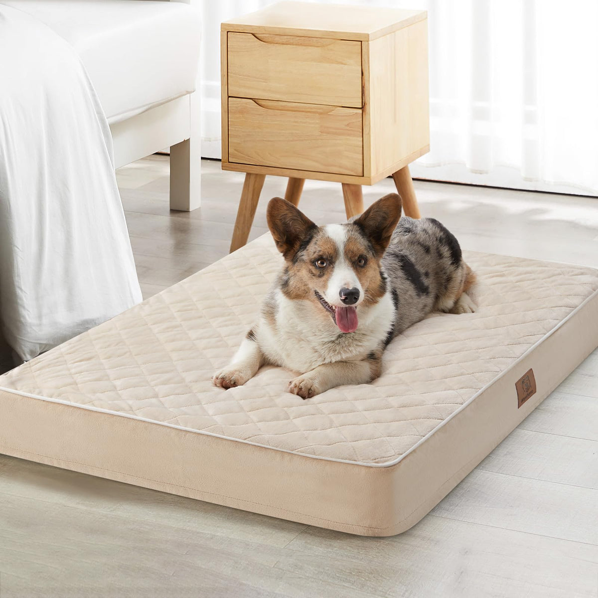 WNPETHOME orthopedic XL dog bed front view with joint-supporting foam.