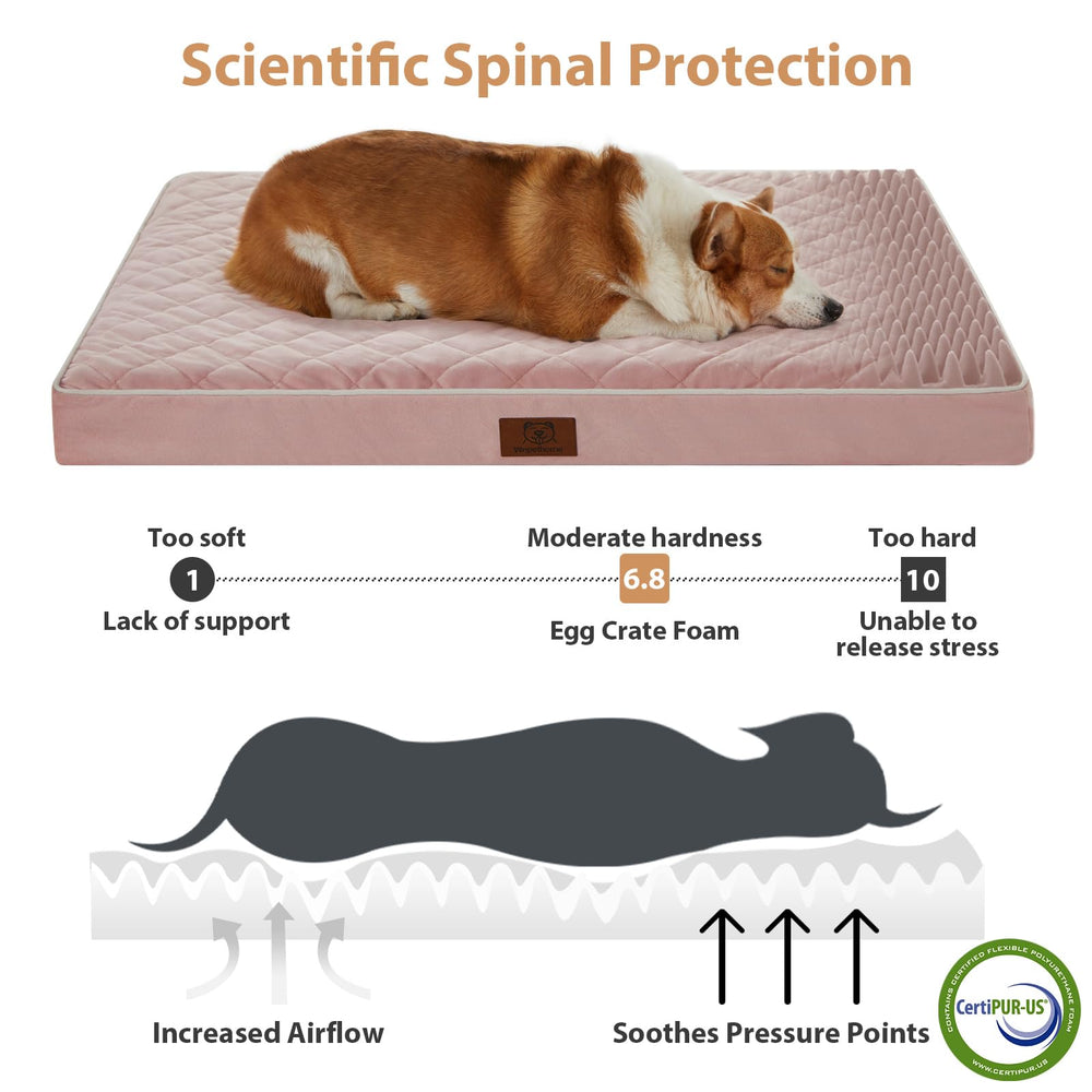 WNPETHOME bed with removable washable cover enables easy cleaning.