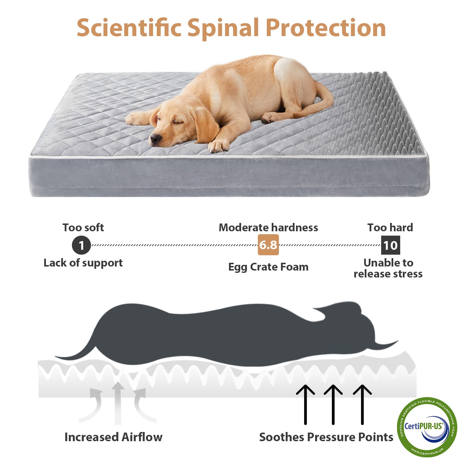 WNPETHOME orthopedic XL dog bed with detachable washable cover for easy cleaning