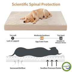 WNPETHOME orthopedic XXL dog bed bottom with anti-slip dots