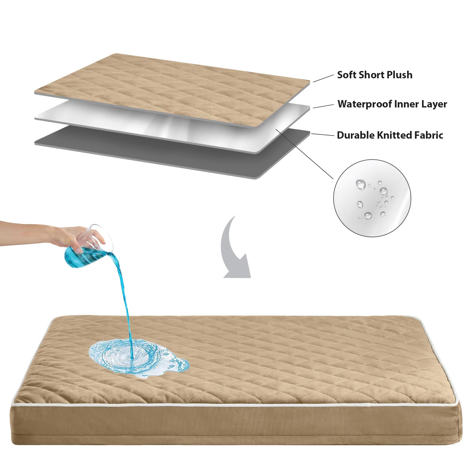 WNPETHOME vacuum-sealed packaging ships compactly for easy setup.