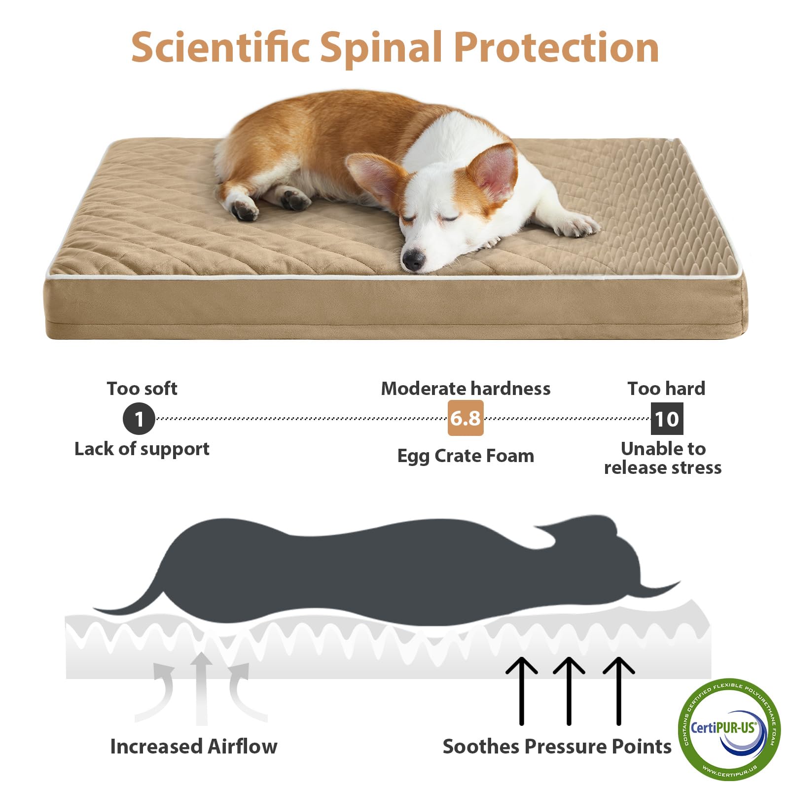 WNPETHOME waterproof layer protects bed from moisture and odors.